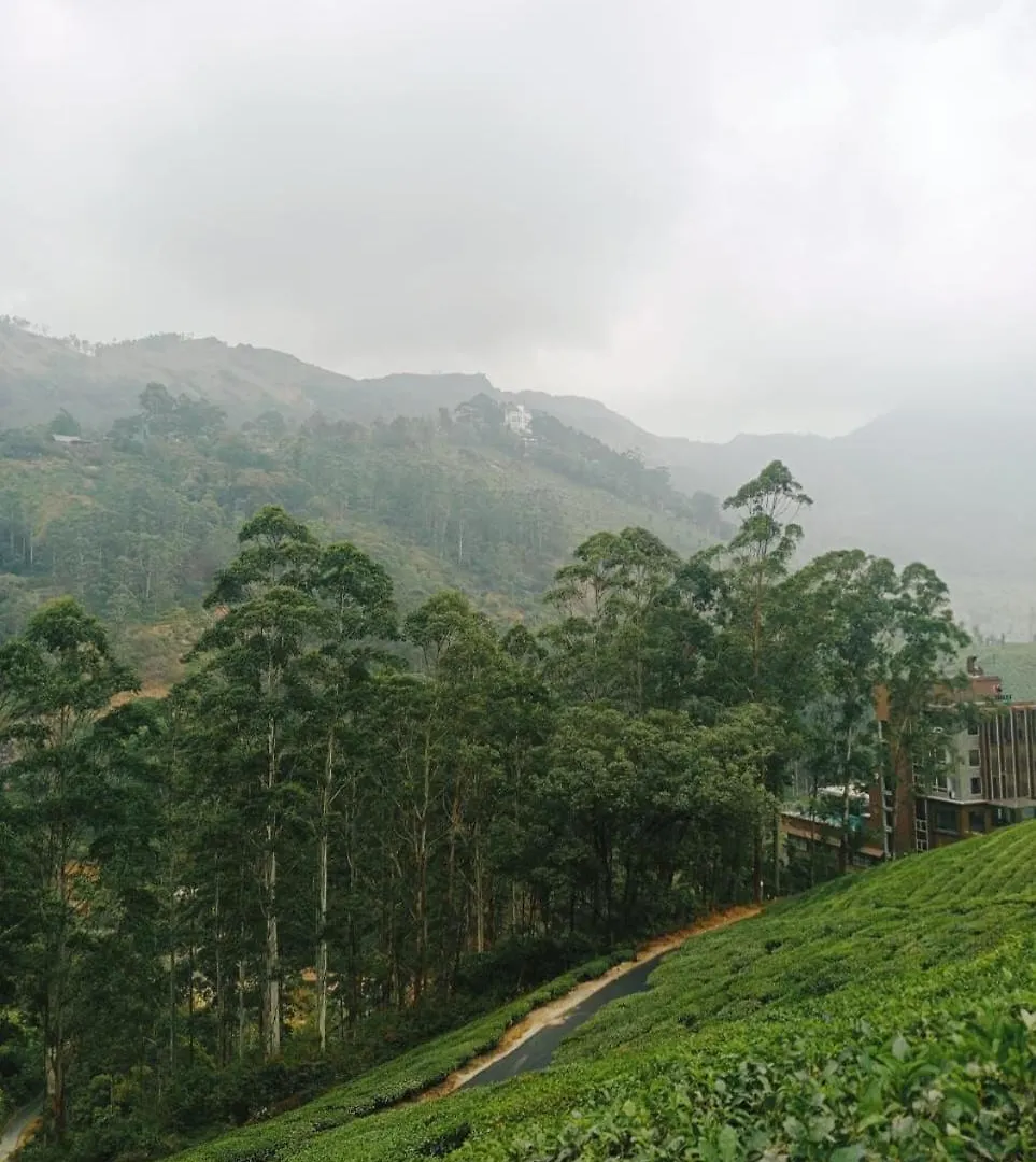 4 Rooms Private Cottage At Attukad Tea Estate Devikolam 0*,  India
