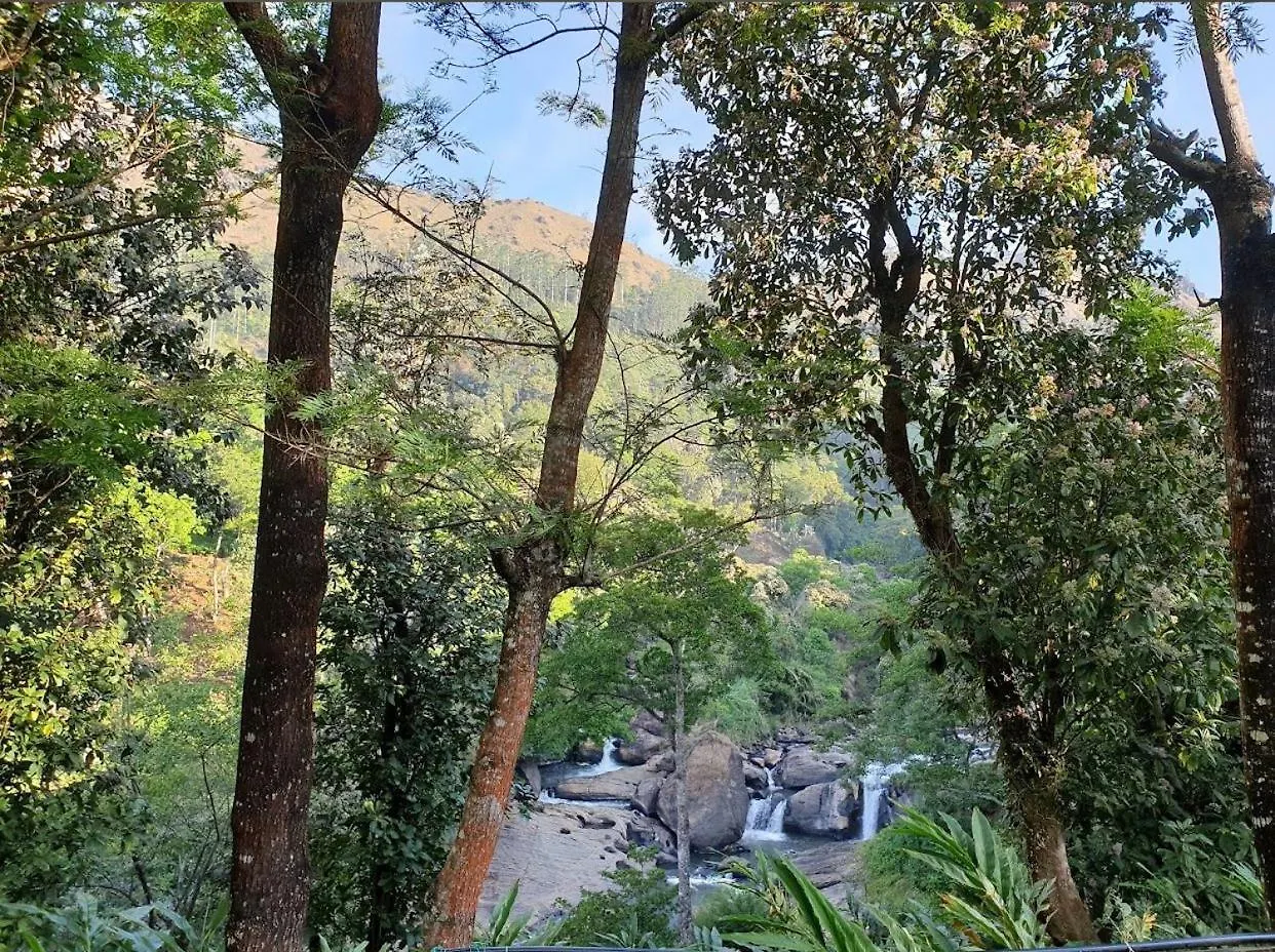 4 Rooms Private Cottage At Attukad Tea Estate Devikolam India