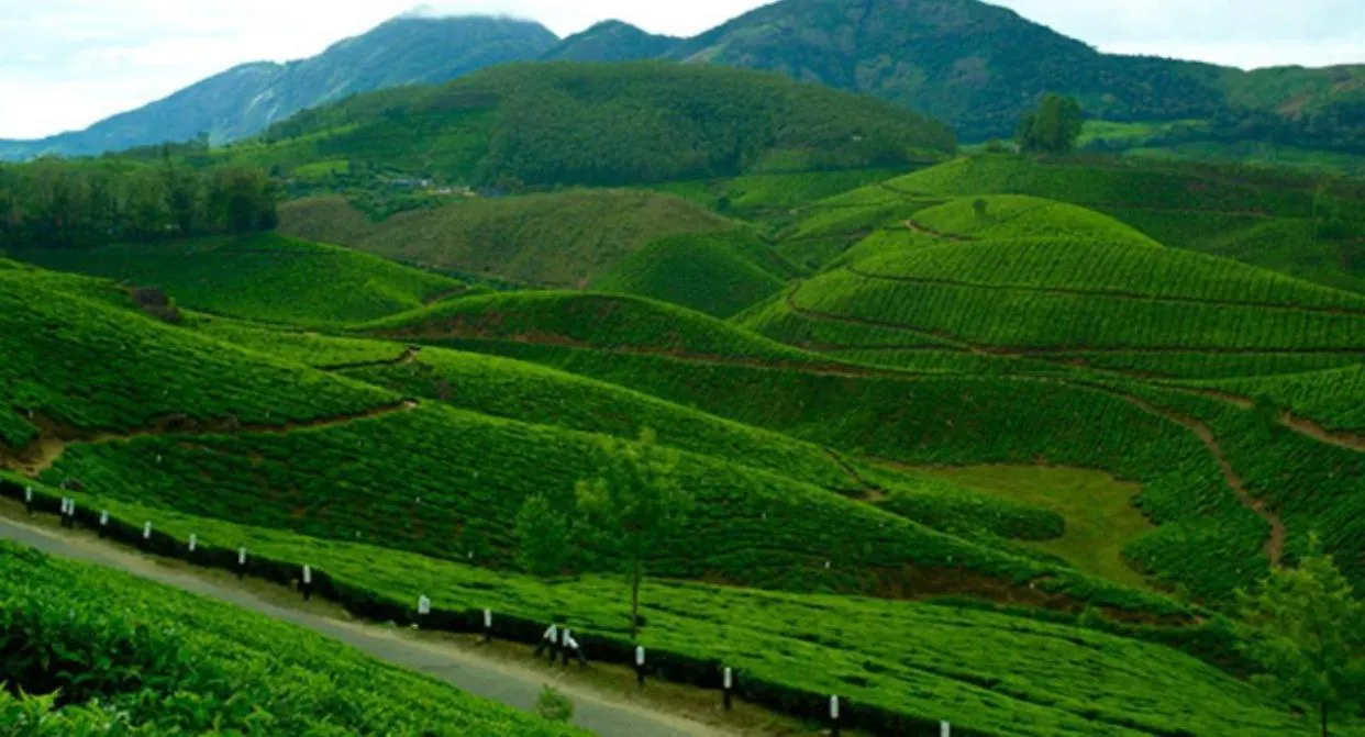 4 Rooms Private Cottage At Attukad Tea Estate Devikolam