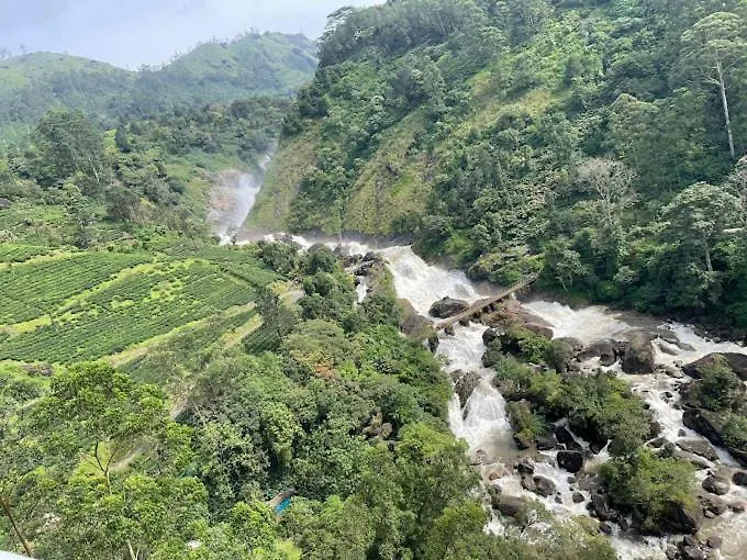 4 Rooms Private Cottage At Attukad Tea Estate Devikolam 0*,  India
