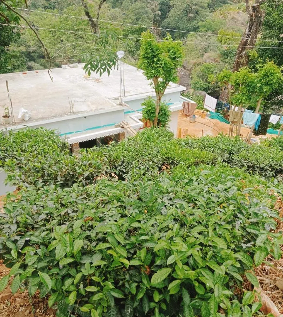 4 Rooms Private Cottage At Attukad Tea Estate Devikolam Holiday park